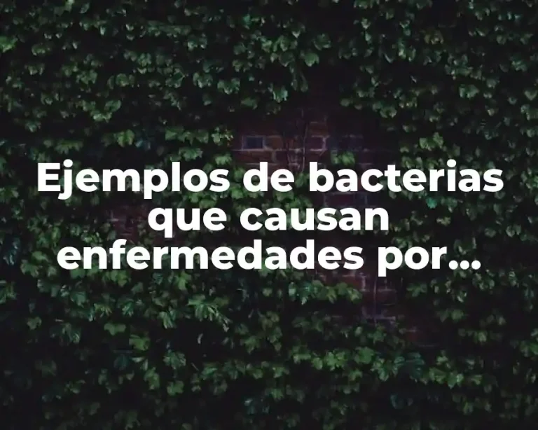 Ejemplos de bacterias que causan enfermedades por contaminación del agua y Significado