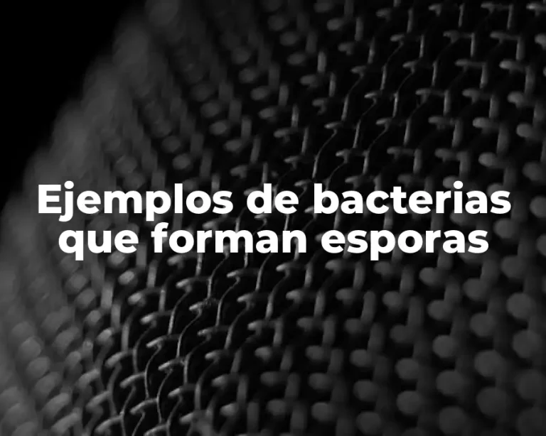 Ejemplos de bacterias que forman esporas