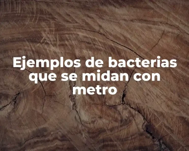 Ejemplos de bacterias que se midan con metro