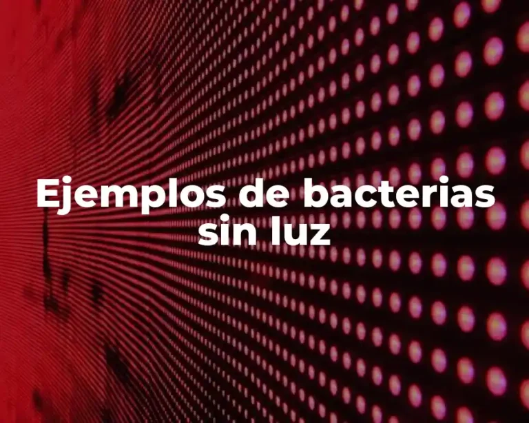Ejemplos de bacterias sin luz