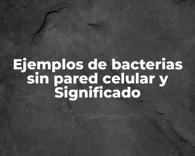 Ejemplos de bacterias sin pared celular y Significado
