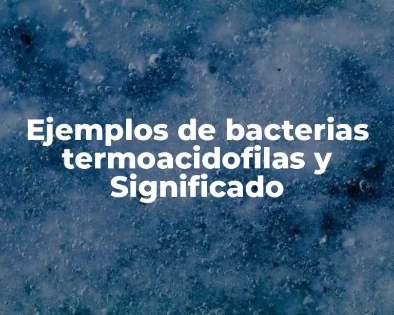 Ejemplos de bacterias termoacidofilas y Significado