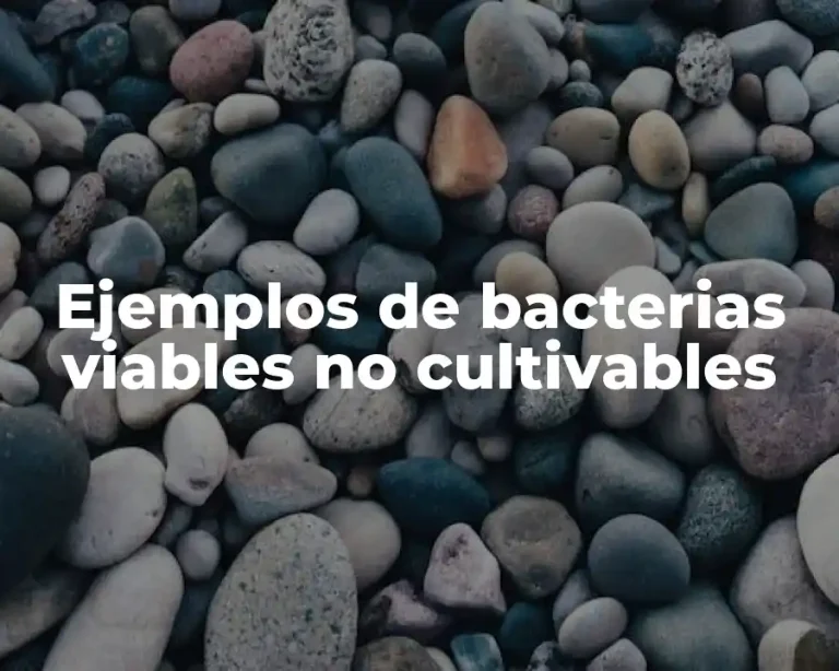 Ejemplos de bacterias viables no cultivables
