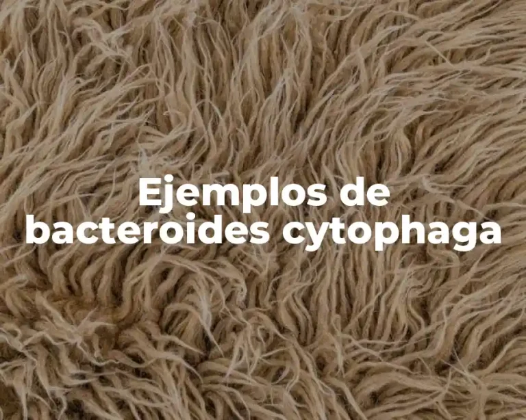 Ejemplos de bacteroides cytophaga