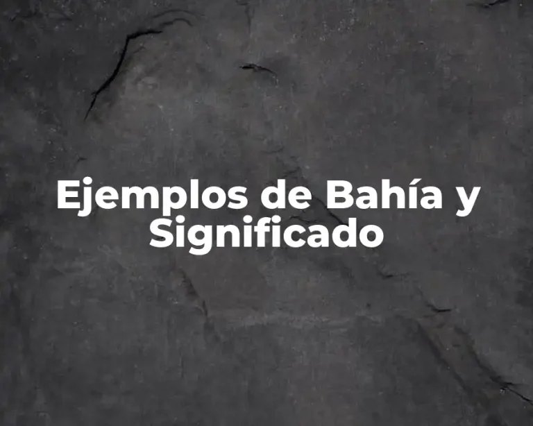 Ejemplos de Bahía y Significado