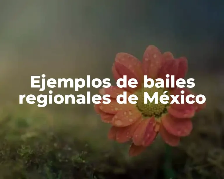 Ejemplos de bailes regionales de México