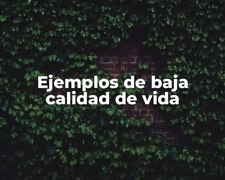 Ejemplos de baja calidad de vida