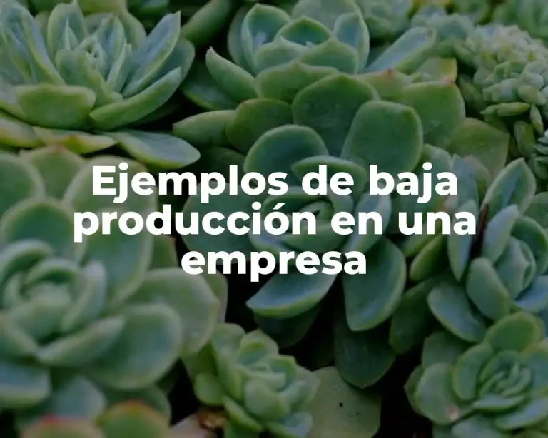 Ejemplos de baja producción en una empresa