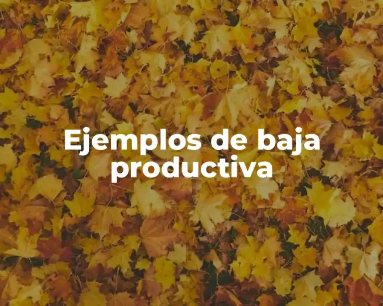 Ejemplos de baja productiva