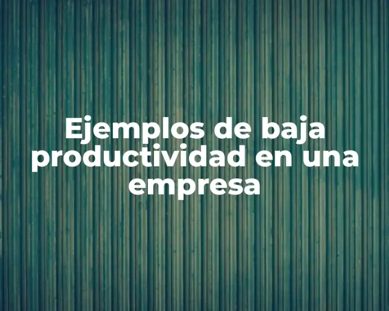 Ejemplos de baja productividad en una empresa