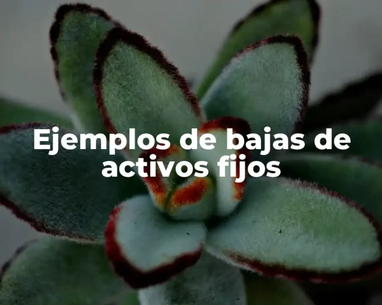 Ejemplos de bajas de activos fijos