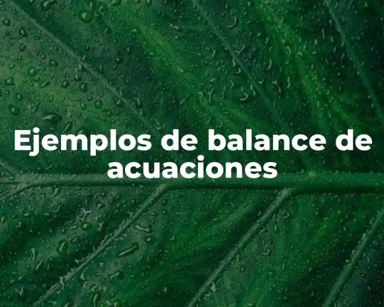 Ejemplos de balance de acuaciones