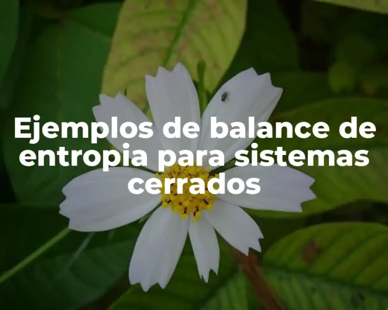 Ejemplos de balance de entropia para sistemas cerrados