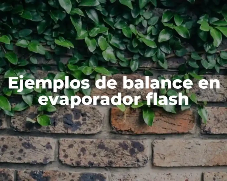 Ejemplos de balance en evaporador flash