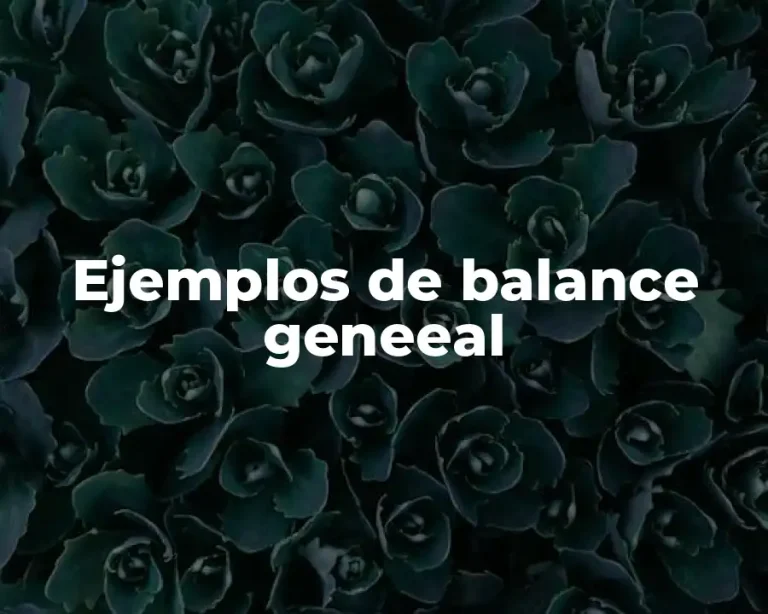 Ejemplos de balance geneeal