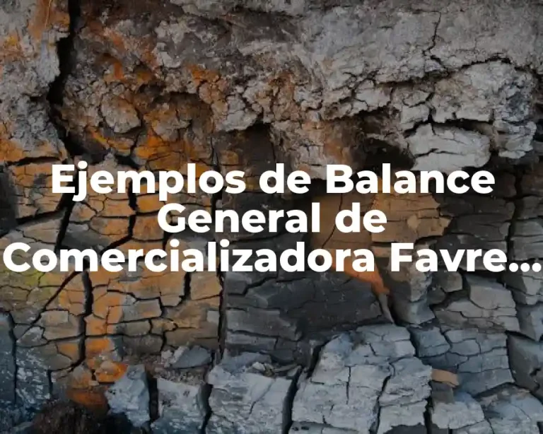 Ejemplos de Balance General de Comercializadora Favre y Significado