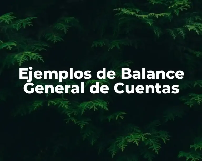 Ejemplos de Balance General de Cuentas
