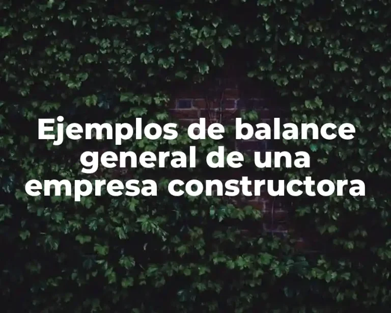 Ejemplos de balance general de una empresa constructora