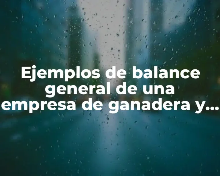 Ejemplos de balance general de una empresa de ganadera y Significado