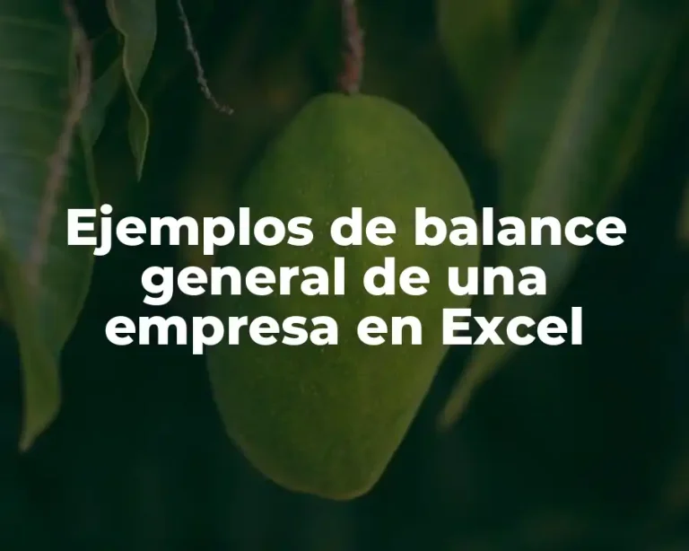 Ejemplos de balance general de una empresa en Excel