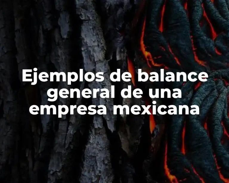 Ejemplos de balance general de una empresa mexicana