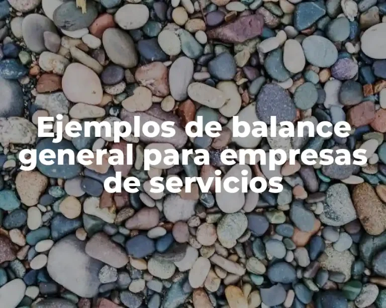 Ejemplos de balance general para empresas de servicios