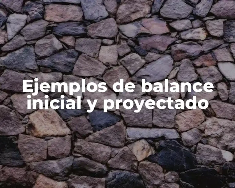 Ejemplos de balance inicial y proyectado