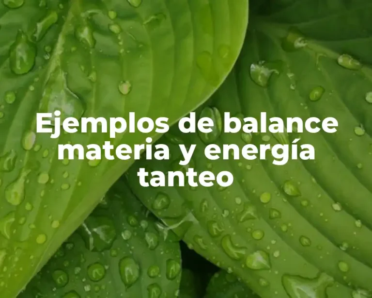 Ejemplos de balance materia y energía tanteo