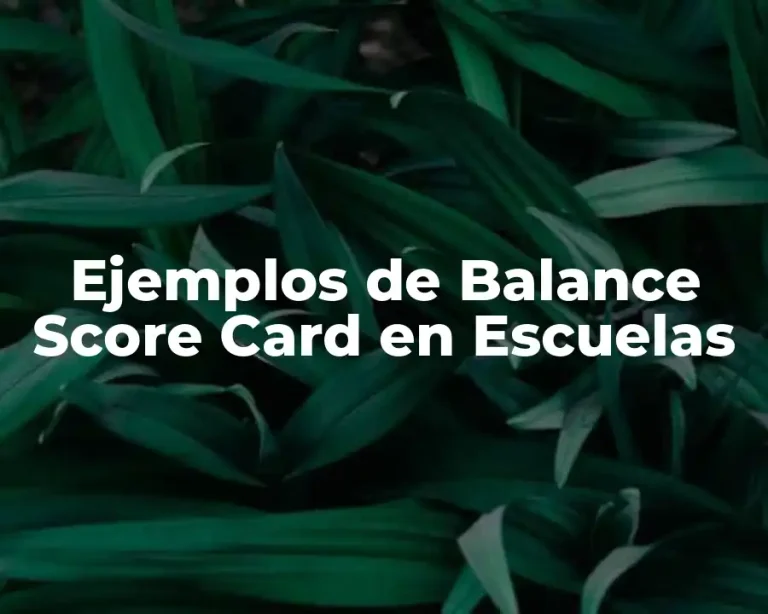 Ejemplos de Balance Score Card en Escuelas