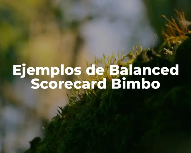 Ejemplos de Balanced Scorecard Bimbo