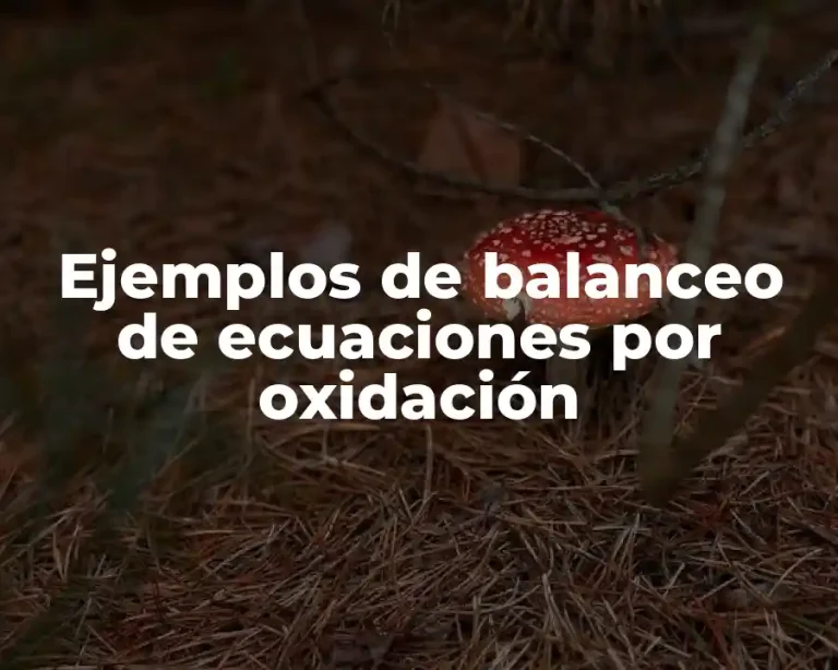 Ejemplos de balanceo de ecuaciones por oxidación