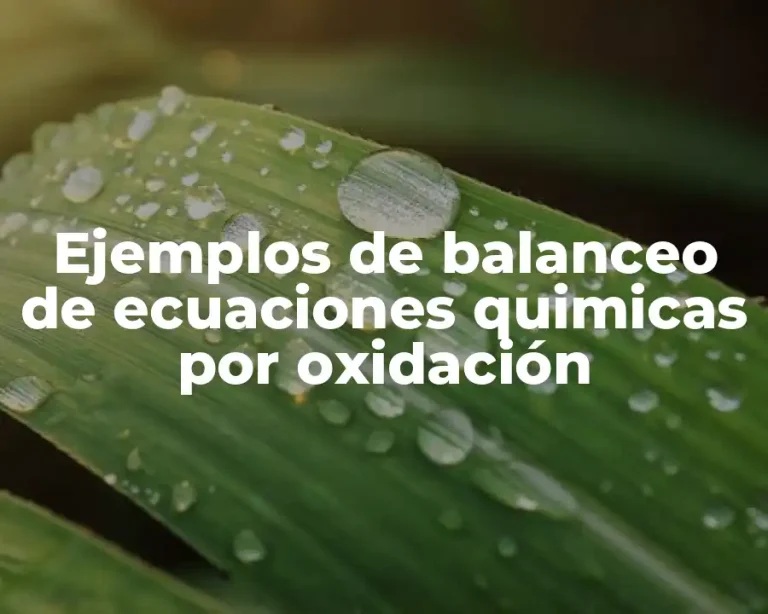 Ejemplos de balanceo de ecuaciones quimicas por oxidación