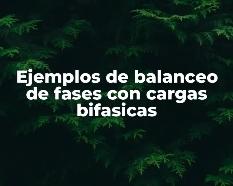 Ejemplos de balanceo de fases con cargas bifasicas