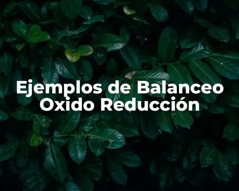 Ejemplos de Balanceo Oxido Reducción