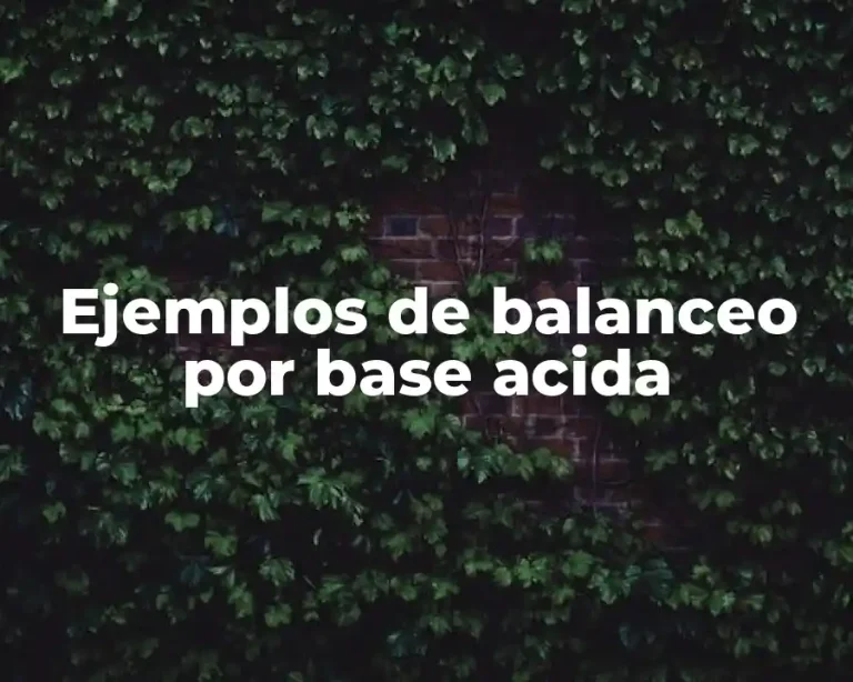 Ejemplos de balanceo por base acida