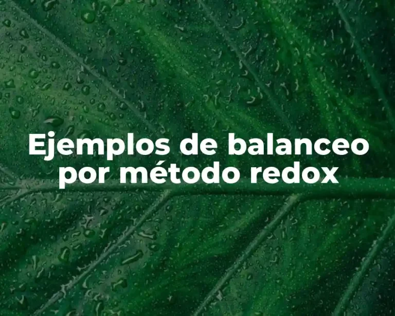 Ejemplos de balanceo por método redox