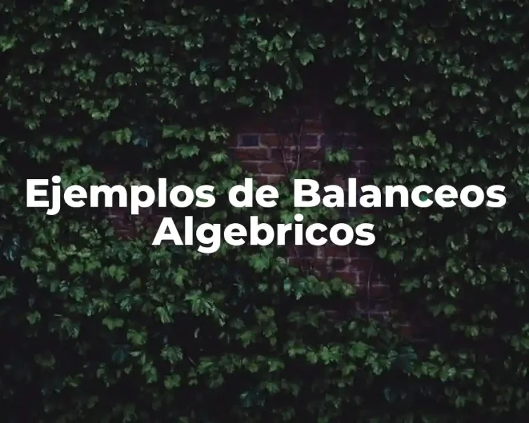 Ejemplos de Balanceos Algebricos