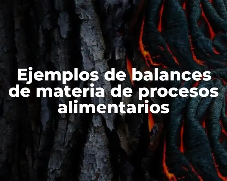 Ejemplos de balances de materia de procesos alimentarios