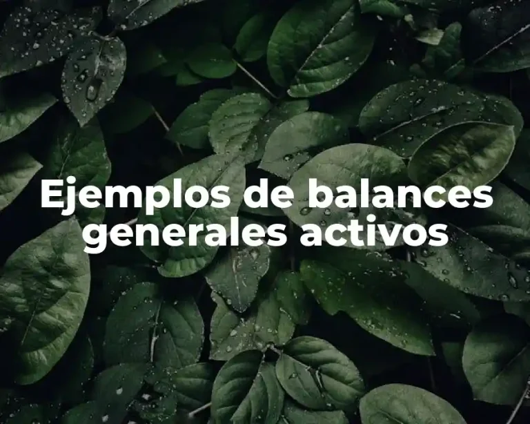Ejemplos de balances generales activos