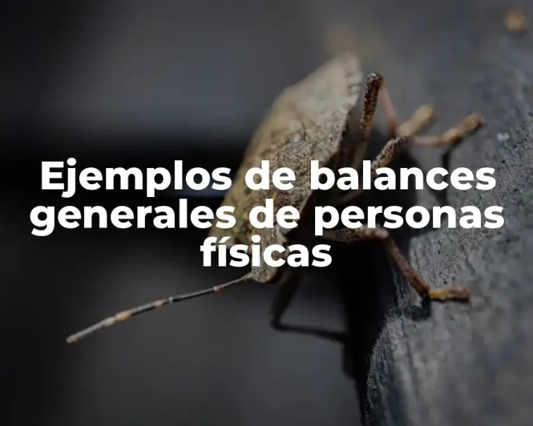 Ejemplos de balances generales de personas físicas