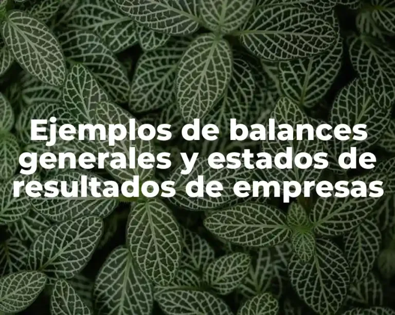 Ejemplos de balances generales y estados de resultados de empresas