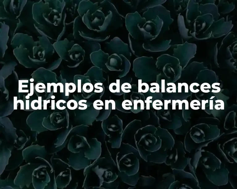 Ejemplos de balances hidricos en enfermería