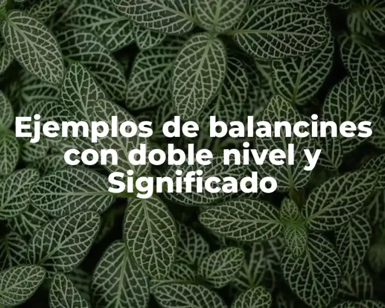 Ejemplos de balancines con doble nivel y Significado