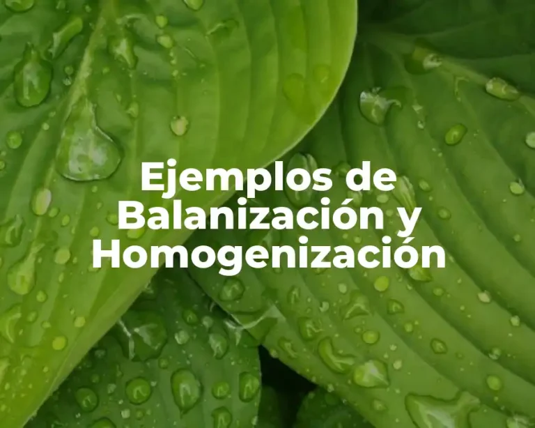 Ejemplos de Balanización y Homogenización