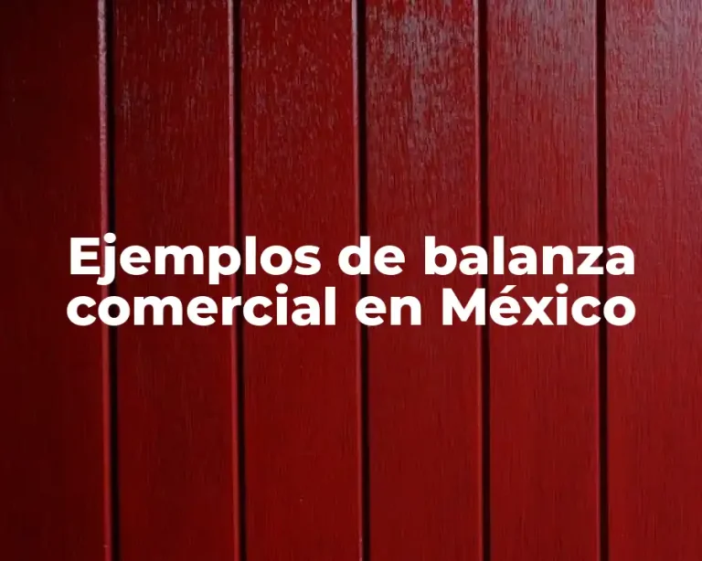 Ejemplos de balanza comercial en México