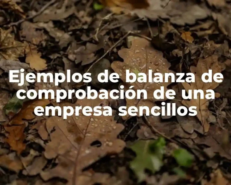 Ejemplos de balanza de comprobación de una empresa sencillos