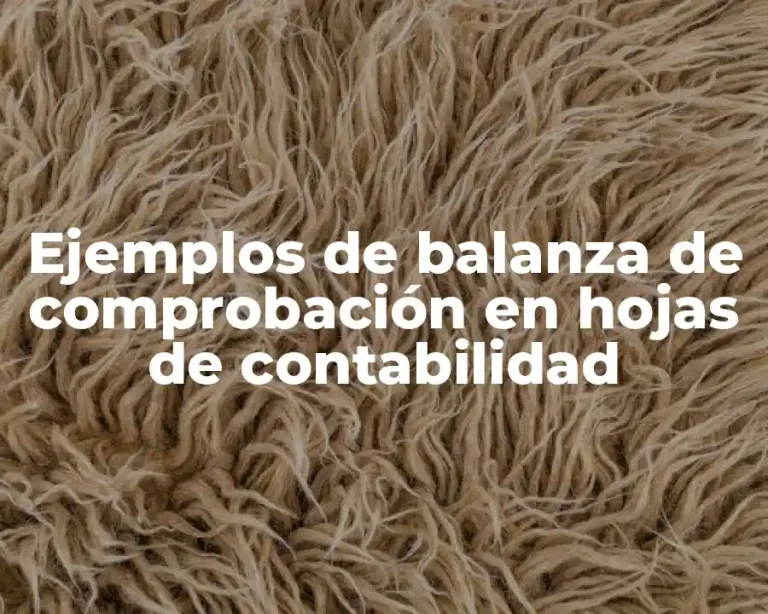 Ejemplos de balanza de comprobación en hojas de contabilidad