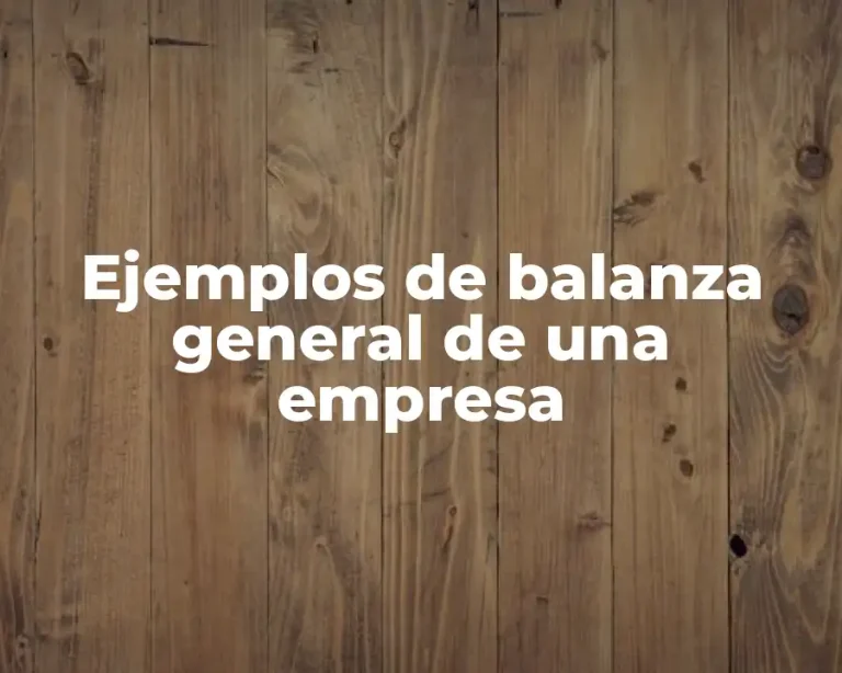 Ejemplos de balanza general de una empresa