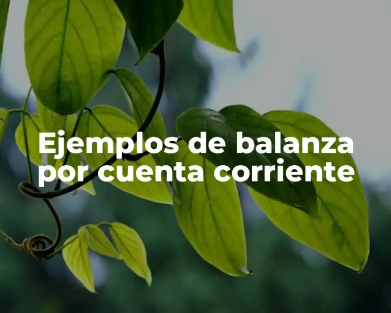 Ejemplos de balanza por cuenta corriente
