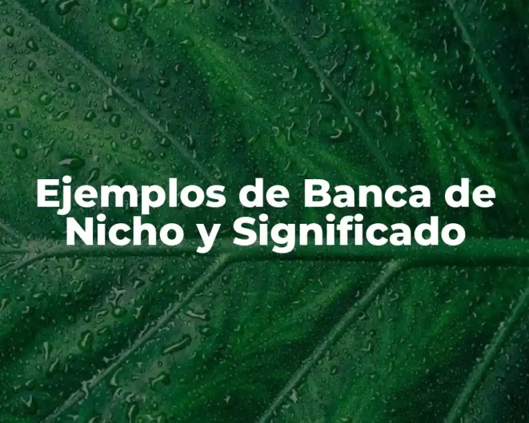 Ejemplos de Banca de Nicho y Significado